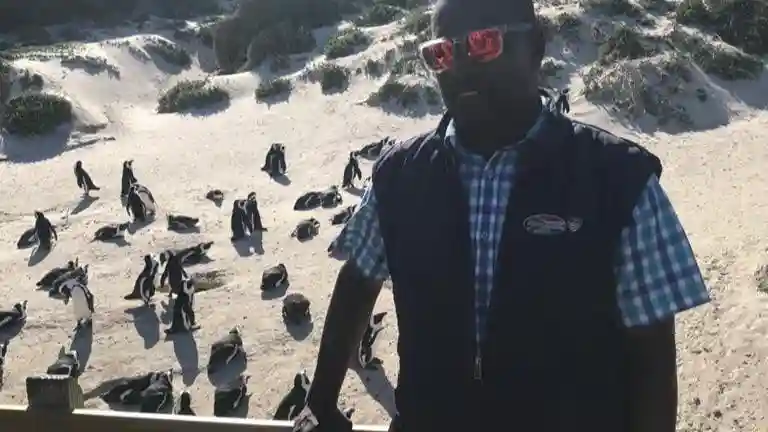 Cape Point & Boulders Beach Tour Privado com Encontro de Pinguins