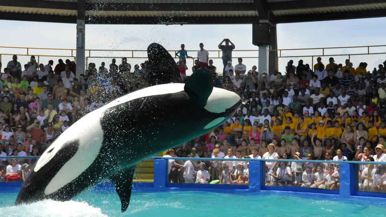 Miami All-Inclusive Pass: Eintritt zu über 30 Attraktionen mit Zoo Miami Bereitgestellt von GO City USA