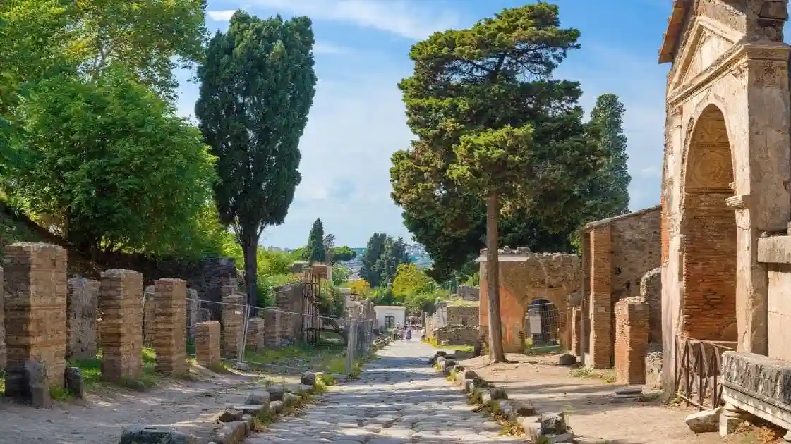 Pompeya: Entrada sin colas + Tren de alta velocidad desde Roma Operado por ItaliaTours LLC