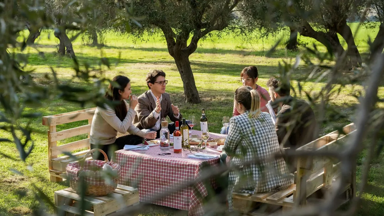Mazzarosa Winery: Country Picnic in the Olive Grove Provided by Mazzarosa Winery