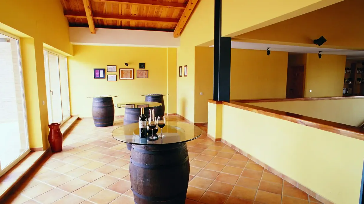 Visite avec option vin, apéritif et menu dégustation à Ribera del Duero Fournie par Grupo Solar de Samaniego