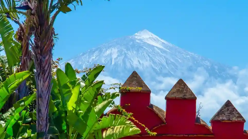 Museo del Vino de Tenerife: Visita y degustación