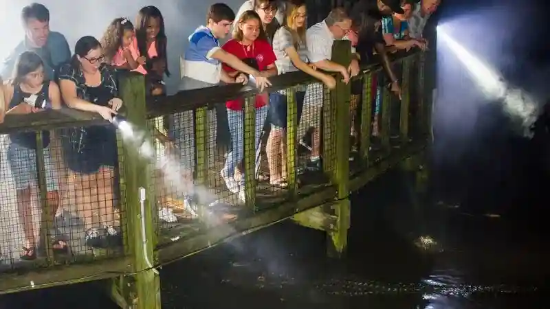 Gatorland Orlando: Noche de brillo caimán Operado por Gatorland