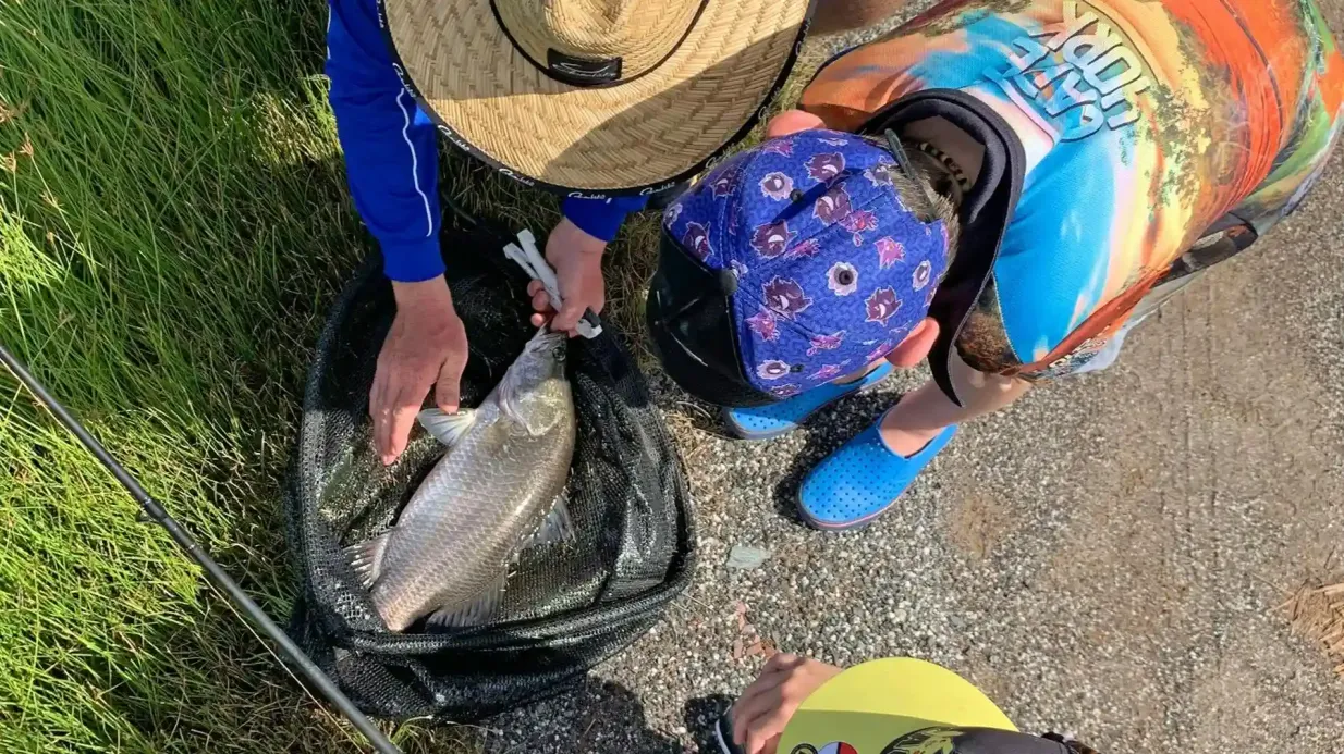 Visite de la ferme et de la pêche Hook-A-Barra Fournie par Hook-A-Barra