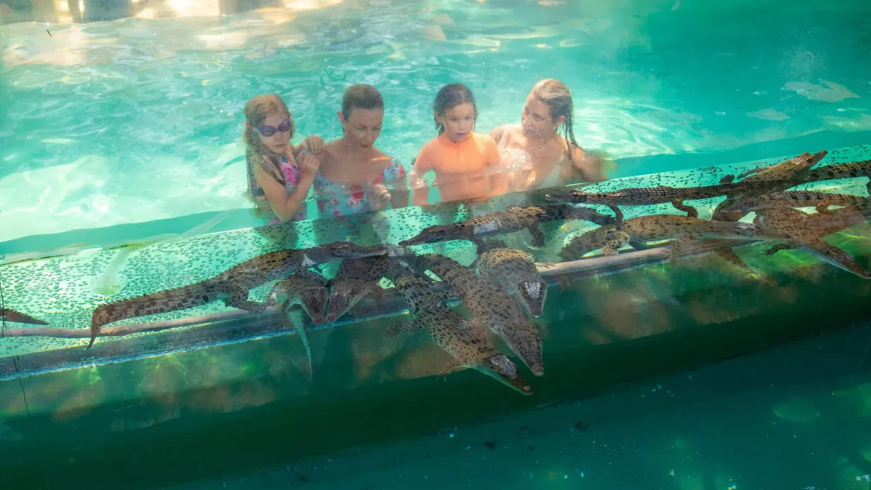 Combo Croc Explorer Fournie par Crocosaurus Cove