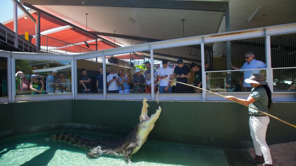 Combo Croc N History Fournie par Crocosaurus Cove