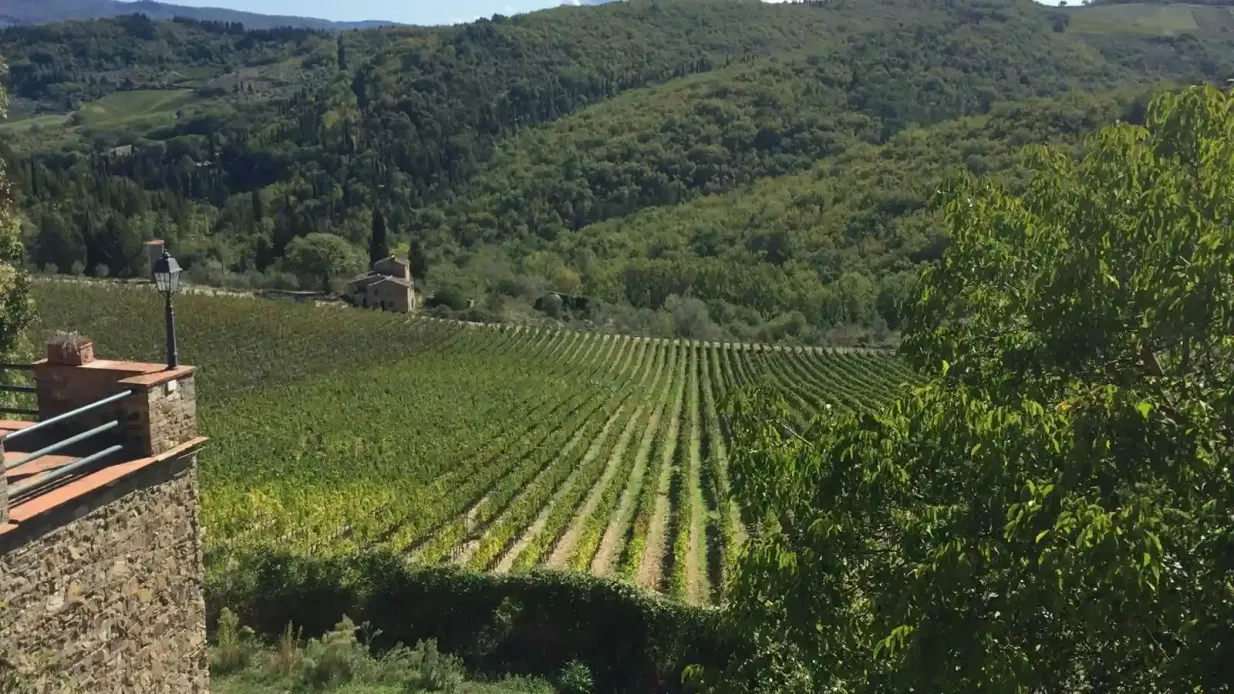 Chianti Region: Day Trip from Florence + Wine Estate Visit Provided by PRESTIGE RENT SRL
