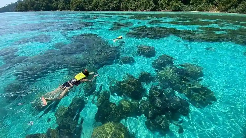 Krabi Un giorno Koh Rok e l'isola di Koh Haa da Aonang Fornito da Krabi One day Koh Rok & Koh Haa Island from Aonang