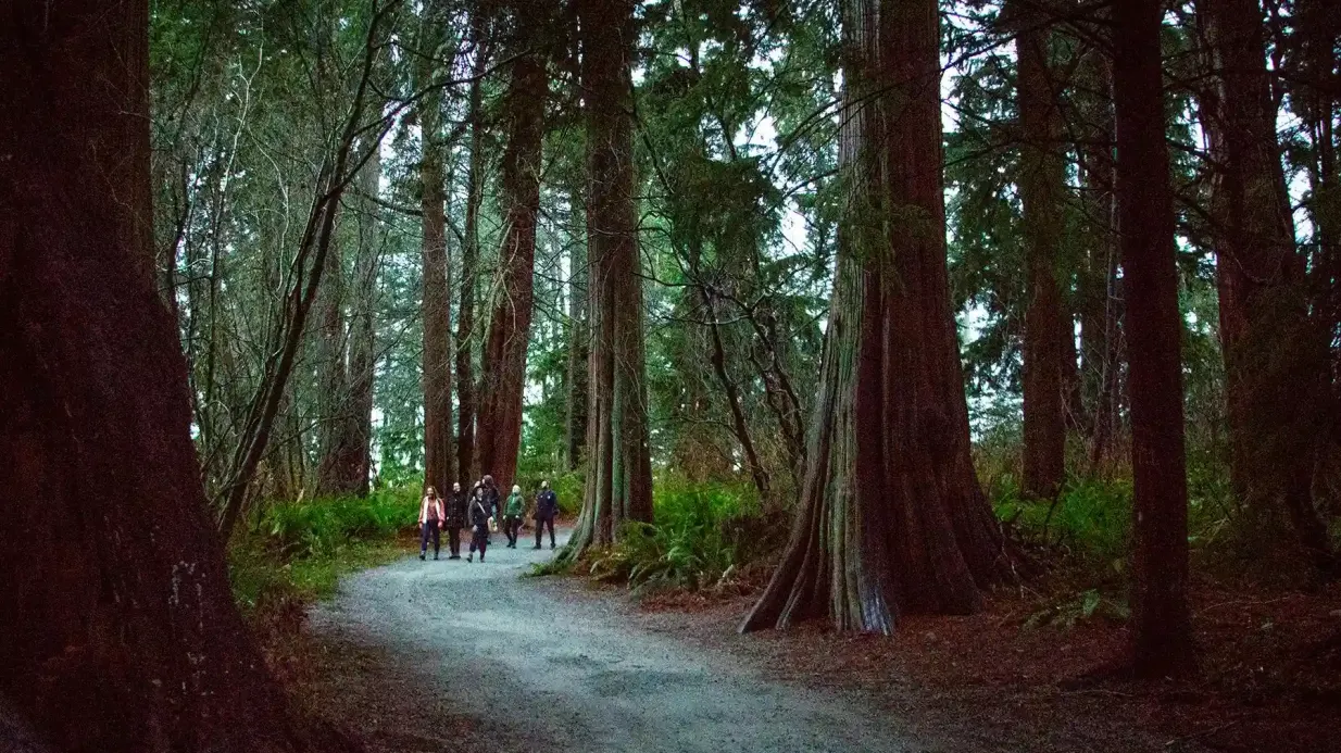Vancouver: The Dark Secrets of Stanley Park Tour Provided by Forbidden Vancouver Walking Tours