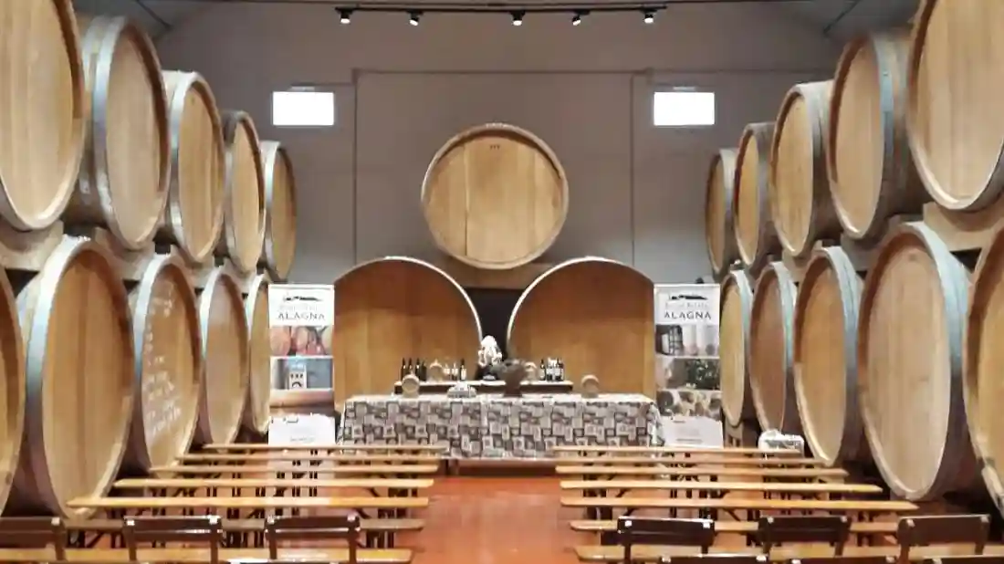 Wine Tasting in the historic Alagna Cellar in Marsala Provided by Giuseppe Alagna fu antonio srl