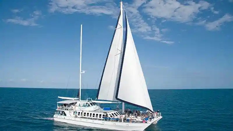 Low Isles : Excursion guidée en bateau depuis Port Douglas + Déjeuner + Plongée en apnée Fournie par Quicksilver Group