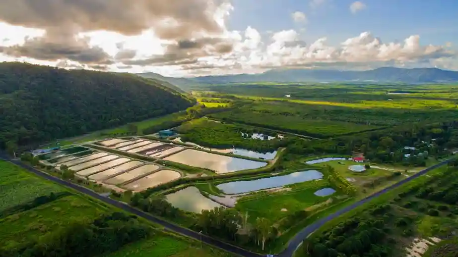 Visite de la ferme Hook-A-Barra Fournie par Hook-A-Barra