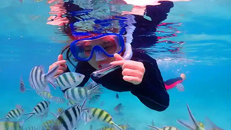 Krabi: One Day Hong Island lagoon Snorkelling Tour by Speedboat or Longtail Boat Provided by Anda Krabi Sea Tour