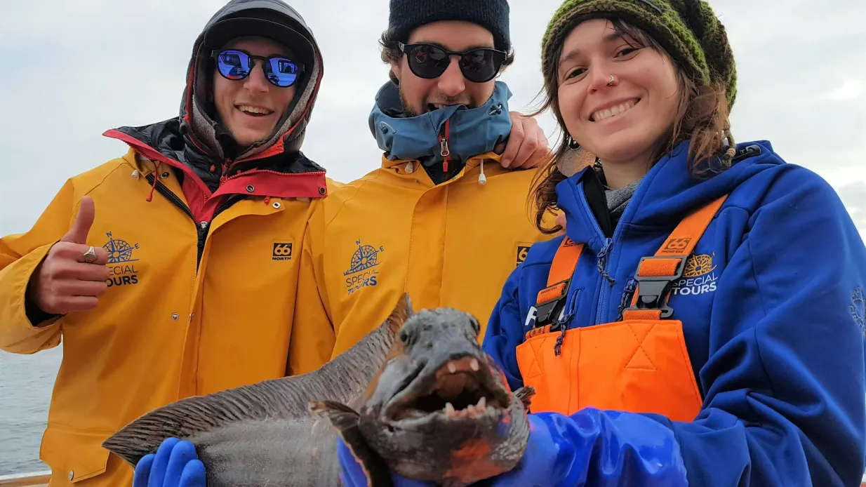 Reykjavik: Sea Fishing Boat Trip Provided by Special Tours