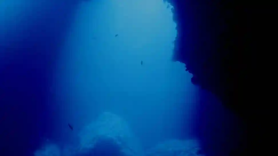 Blue Waters Dive Cove: 3-Day PADI Open Water Course Provided by Blue Waters Adventure LTD