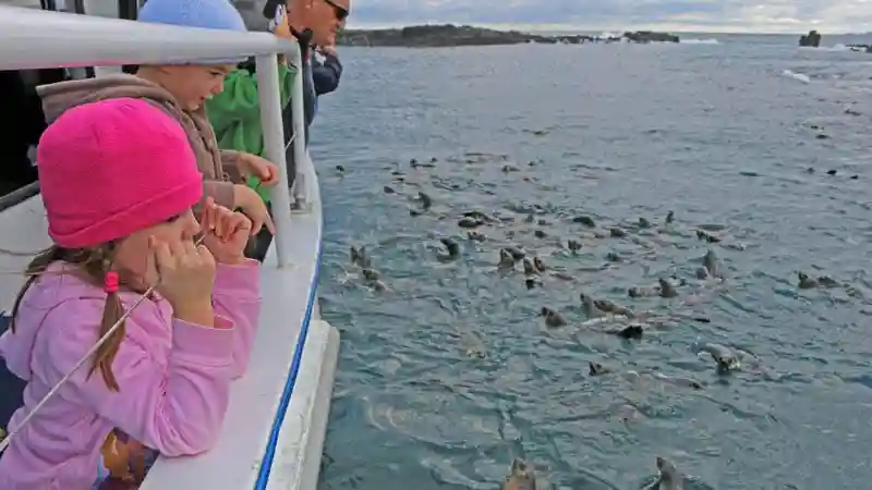 Phillip Island : croisière d'observation des phoques Fournie par Wildlife Coast Cruises Pty Ltd