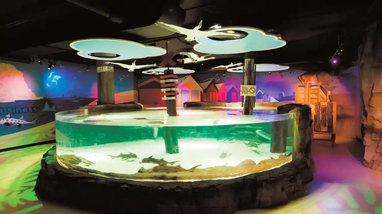 Shark Dive Xtreme im Sea Life Melbourne