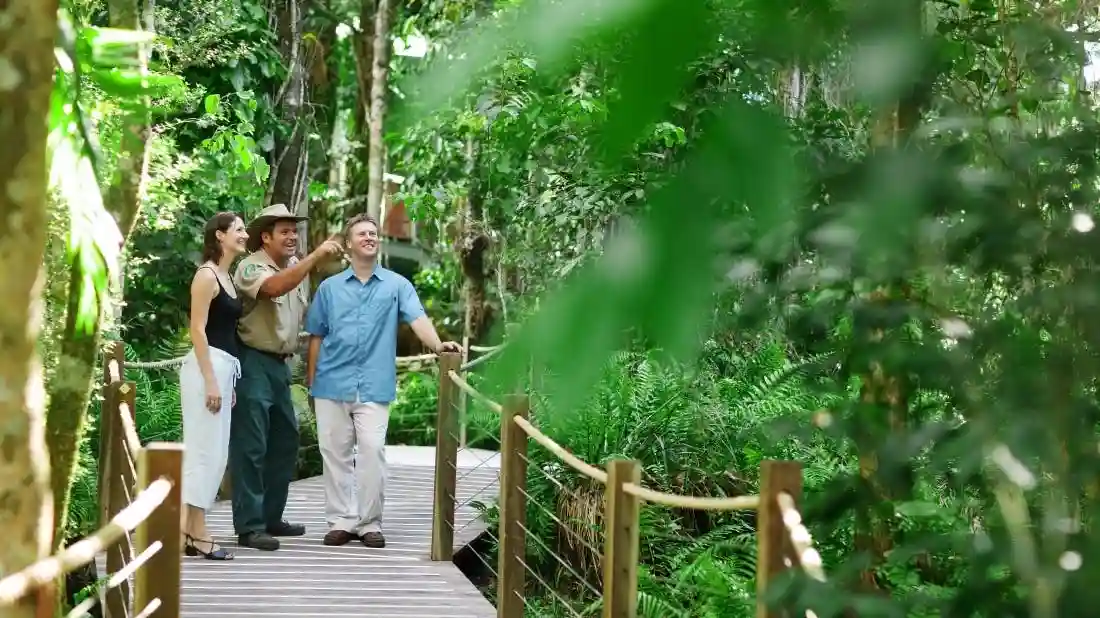 Experiencia en Kuranda en coche: Skyrail Rainforest Cableway & Scenic Rail Operado por Down Under Tours