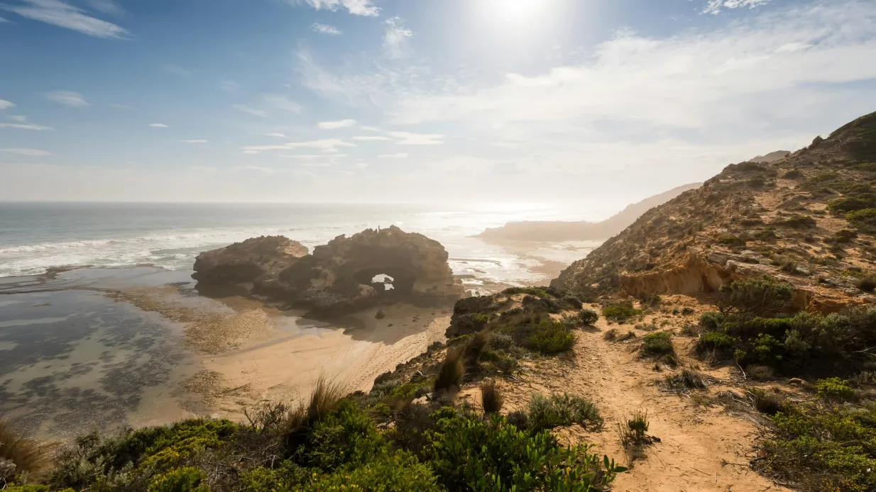 Mornington Peninsula: Bay Cruise & Sightseeing from Melbourne