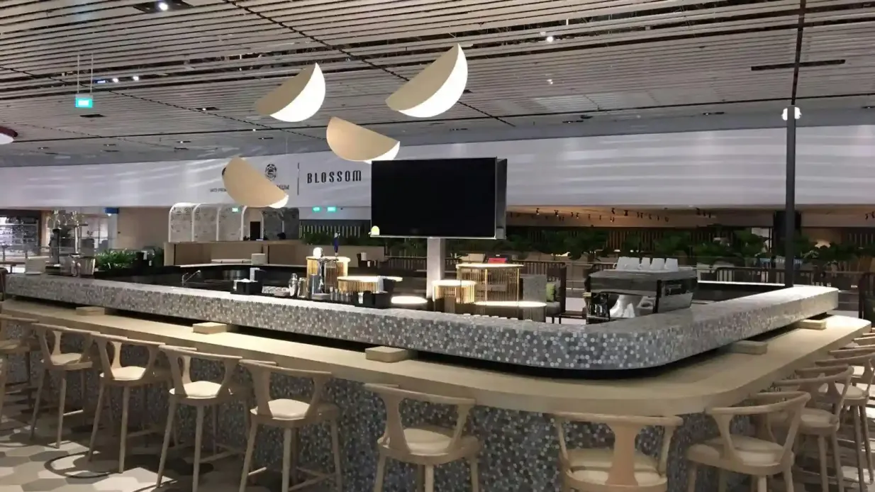 Plaza Premium Lounge Singapore: Eintrittskarte
