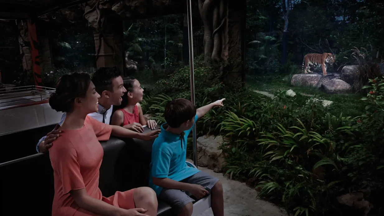 Singapore Night Safari: Eintrittskarte + Hin- und Rücktransfer