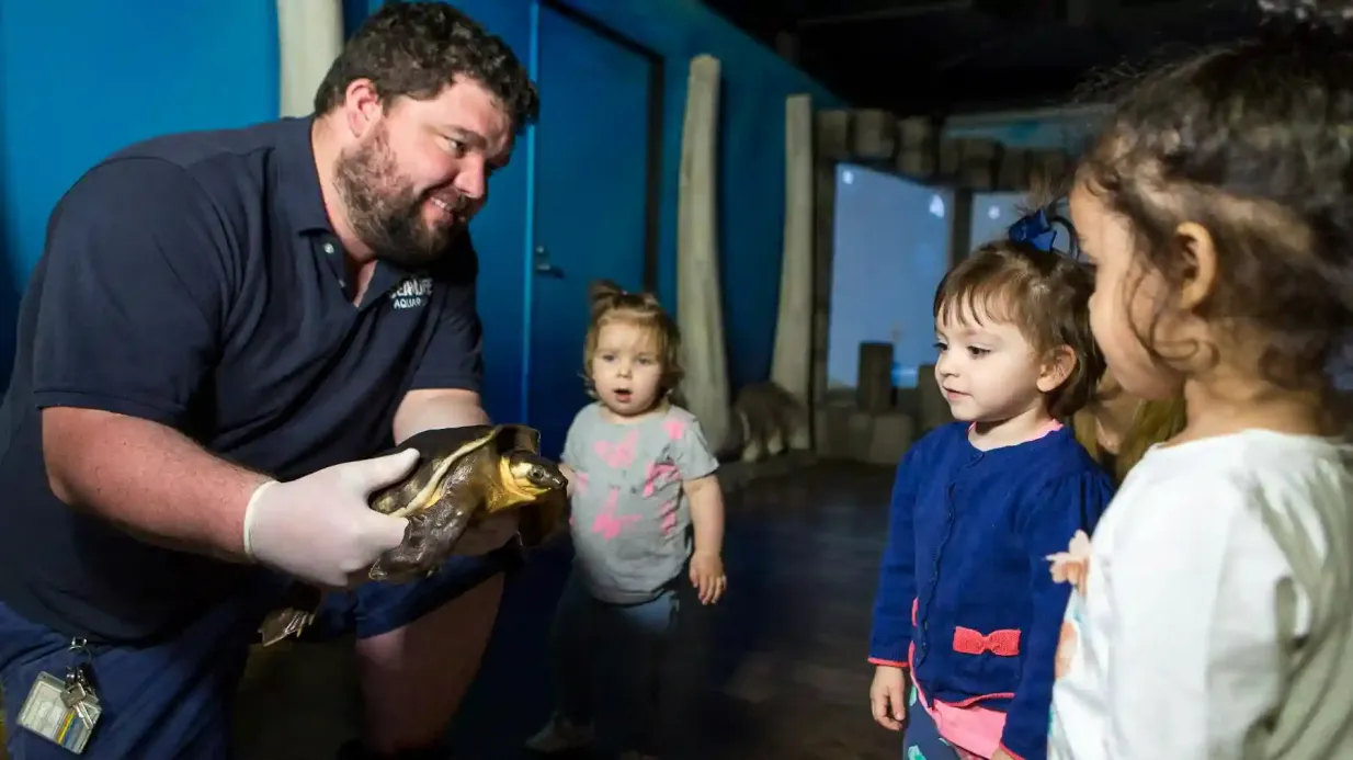 Sydney iVenture Unlimited Attractions Pass: 30+ Attractions for 2-5 Days