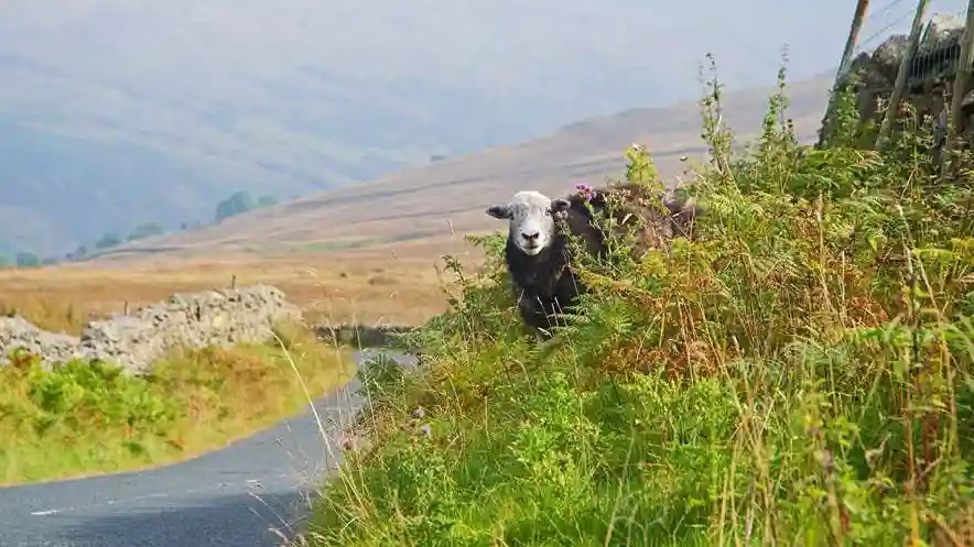 The High Adventure from Windermere Provided by Mountain Goat