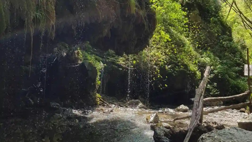 Ferriere Waterfalls: Guided Tour from Amalfi Provided by Vincenzo Masullo