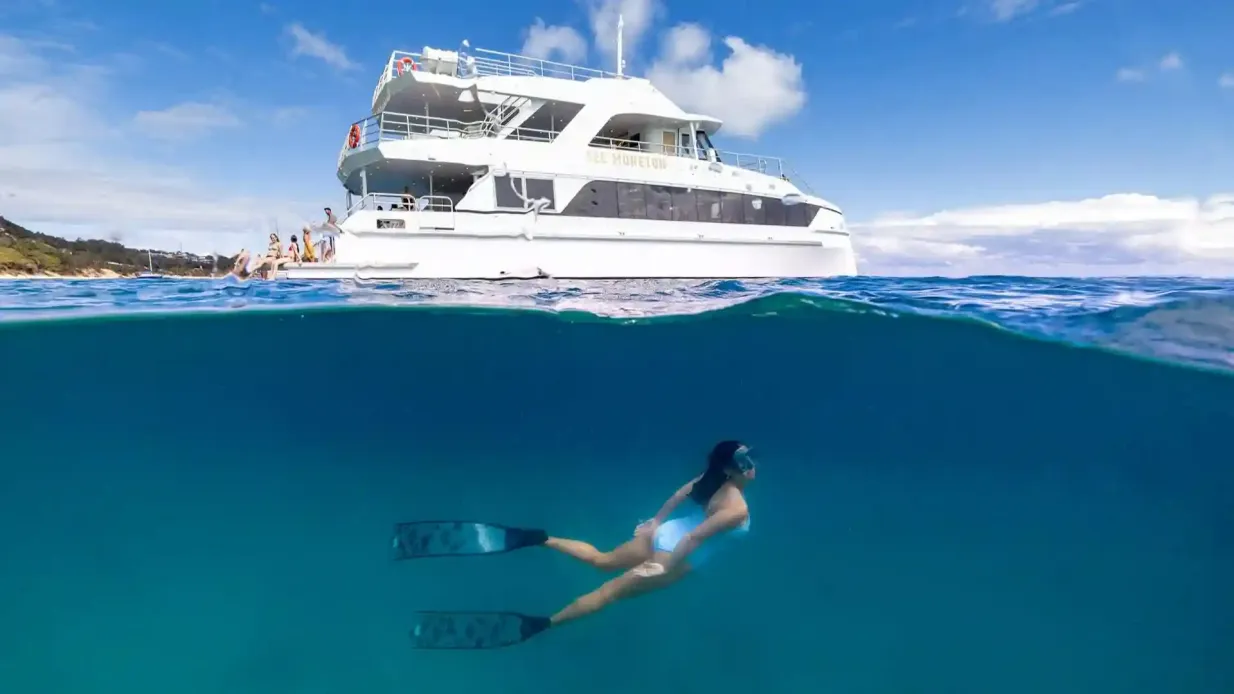 Épaves de Tangalooma & croisière d'observation des dauphins depuis Brisbane Fournie par See Moreton Pty Ltd