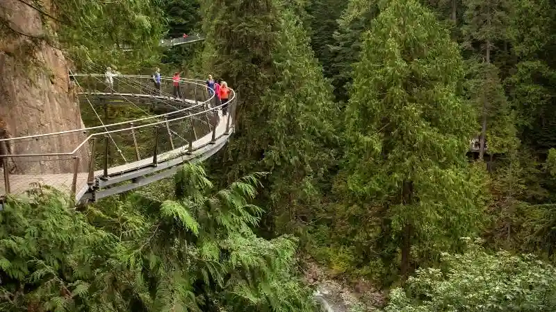 Vancouver: Capilano Suspension Bridge Park & City Tour Provided by Big Bus Vancouver Limited dba West Coast Sightseeing
