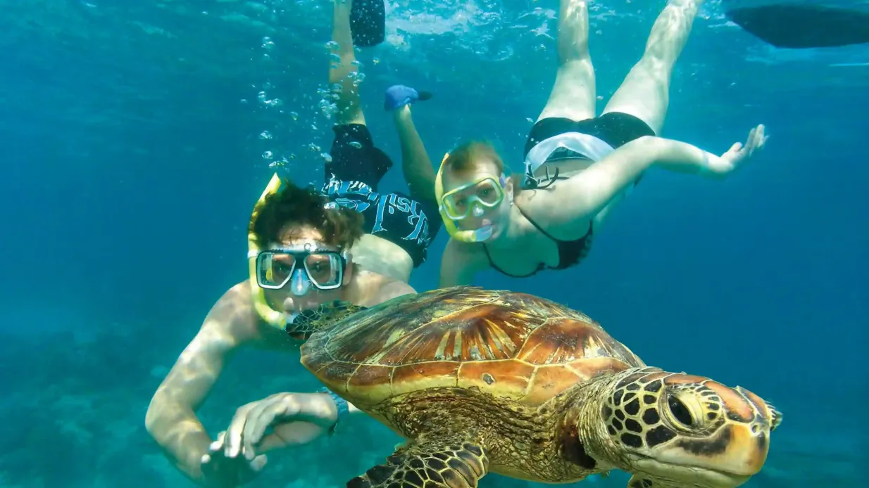 Tour eco-avventura dell'Isola Verde: Tour in barca con catamarano da Cairns Fornito da Great Adventures