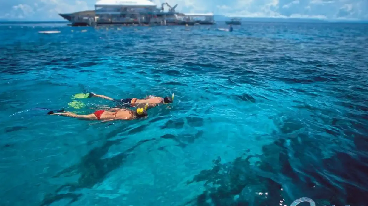 La Grande Barrière de Corail extérieure : Excursion en bateau depuis Port Douglas + Activités + Déjeuner Fournie par Quicksilver Group