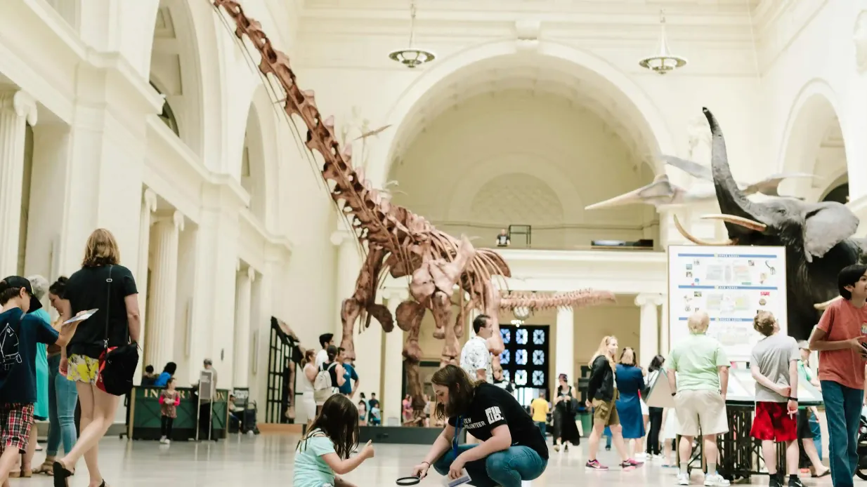 The Field Museum of Natural History: Führung + Frühzeitiger Zugang + Ausstellung Bereitgestellt von Field Museum Chicago