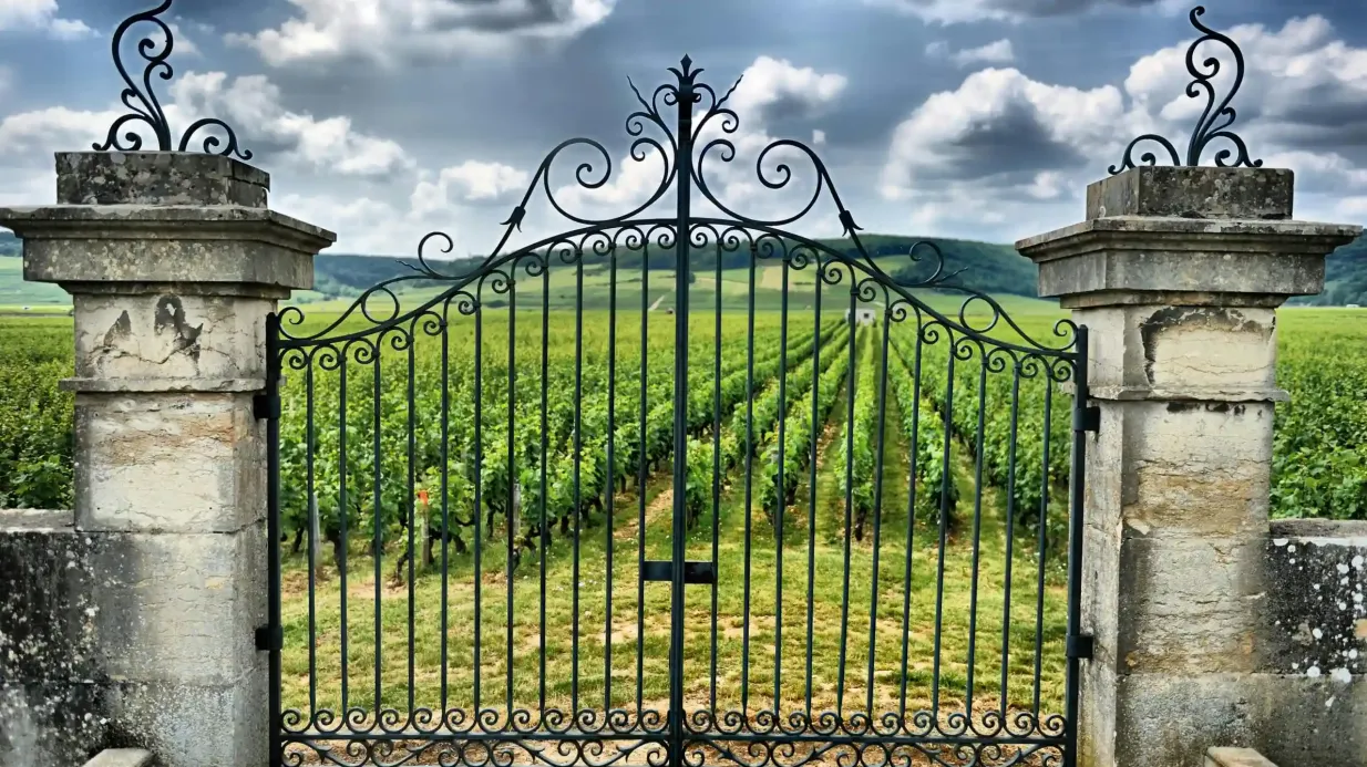 Saint-Émilion Village: Full-Day Wine Tour from Bordeaux Provided by Ophorus