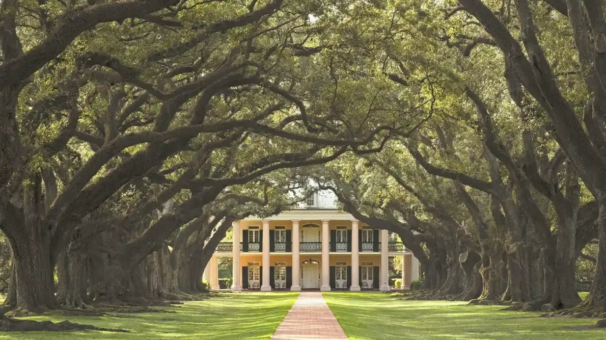 Oak Alley Plantation: Tour from New Orleans Provided by Gray Line New Orleans