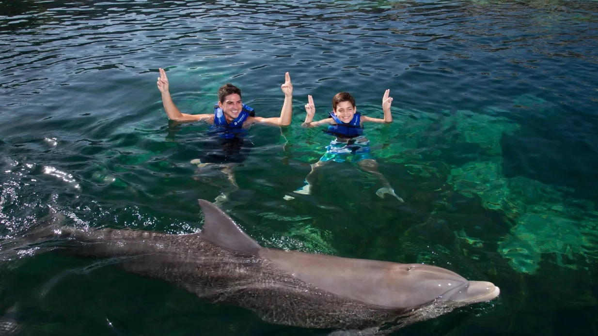 Delfinario Xcaret: Nada con delfines Operado por OPERADORA XUNA SA DE CV