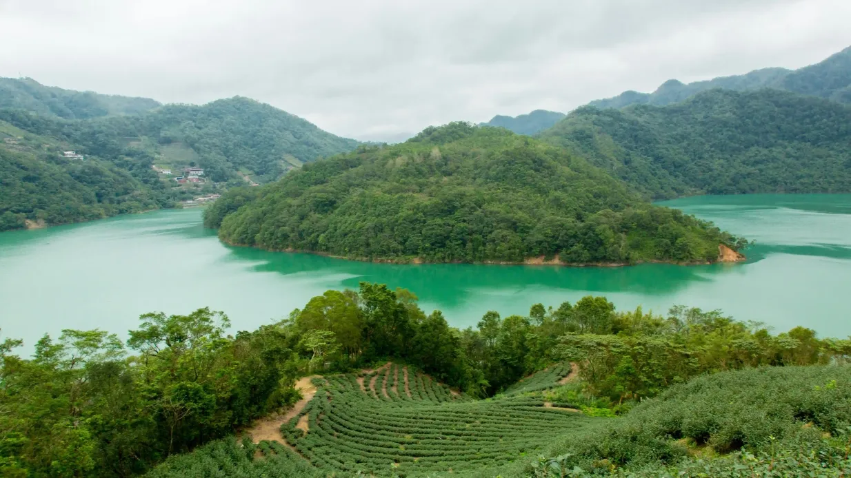 Tausend-Insel-See & Pinglin Teeplantage: Nachmittags Tour von Taipei