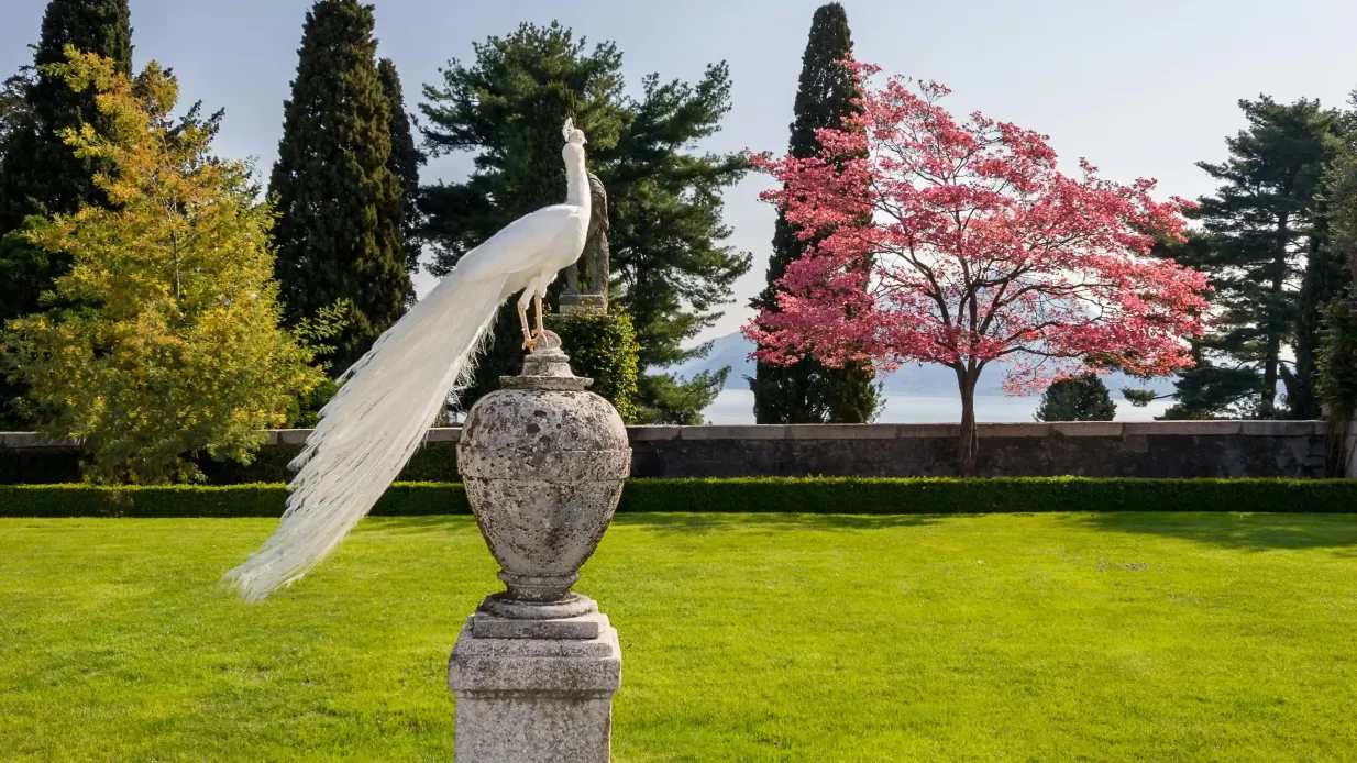 Lake Maggiore: Daytrip from Milan