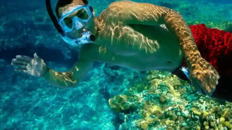 Double Dip Snorkel Trip Provided by Fury Water Adventures