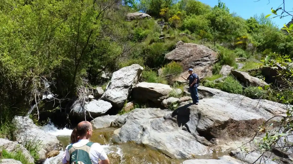 Sierra Nevada: Guided Tour from Granada Provided by Anera Travel