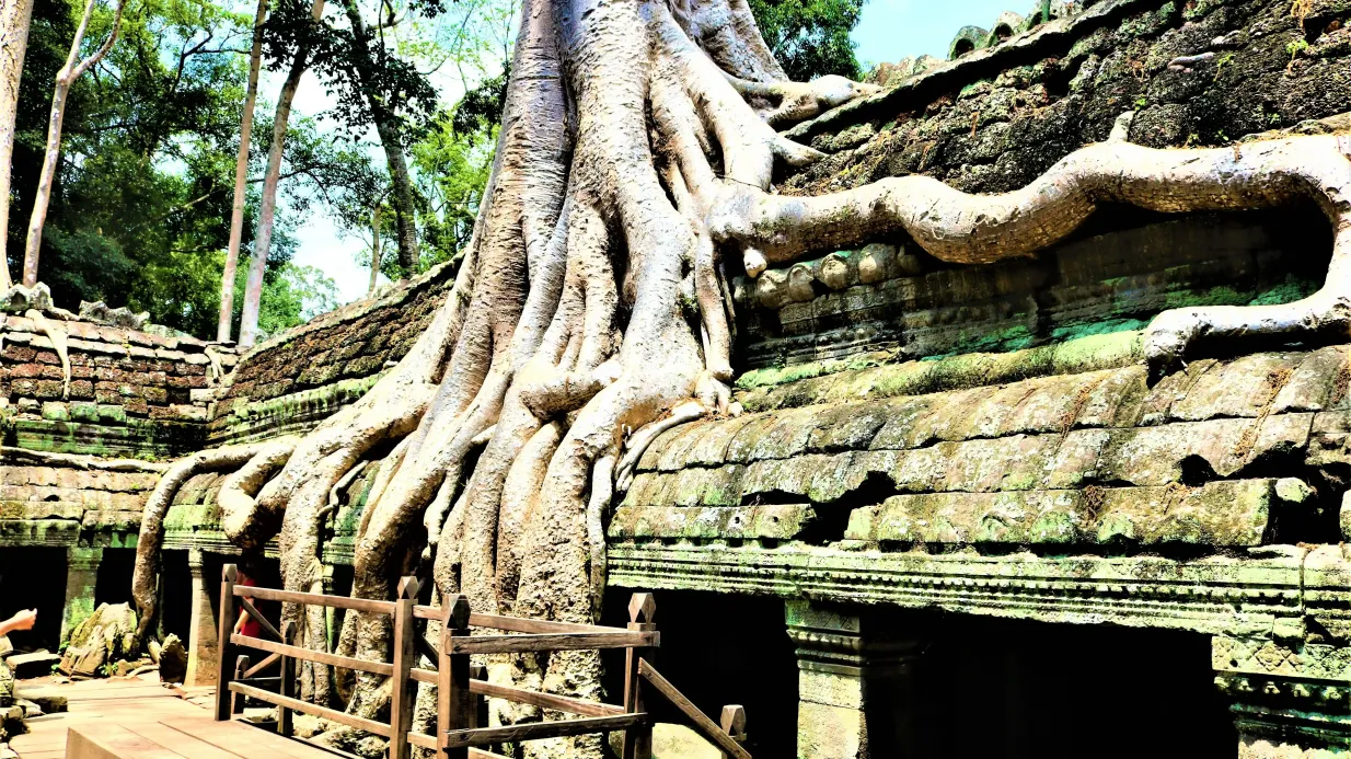 Angkor Wat : visite guidée d'une journée Fournie par Angkor Wat: Full Day Guided Tour
