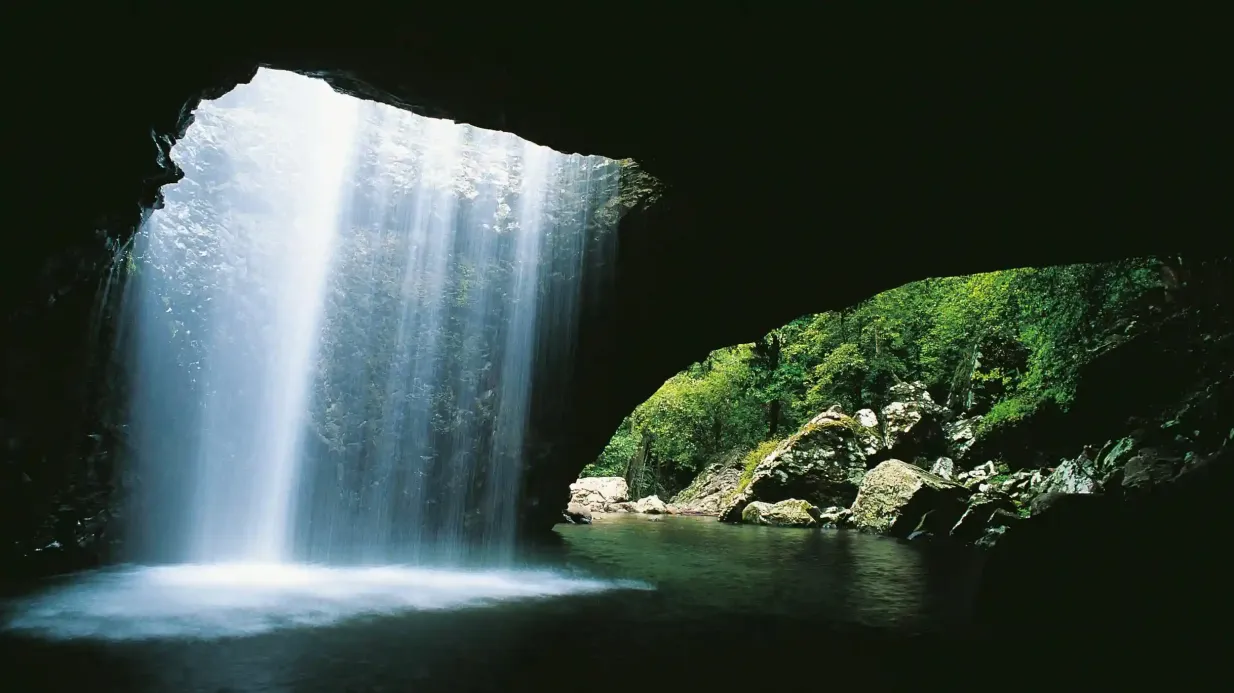 Circuit du pont naturel et des chutes d'eau de Springbrook au départ de la Gold Coast Fournie par Southern Cross Tours