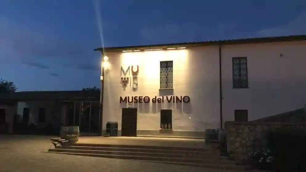 Museo del vino MUVIS Operado por Consorzio Etruria International - Società Consortile srl