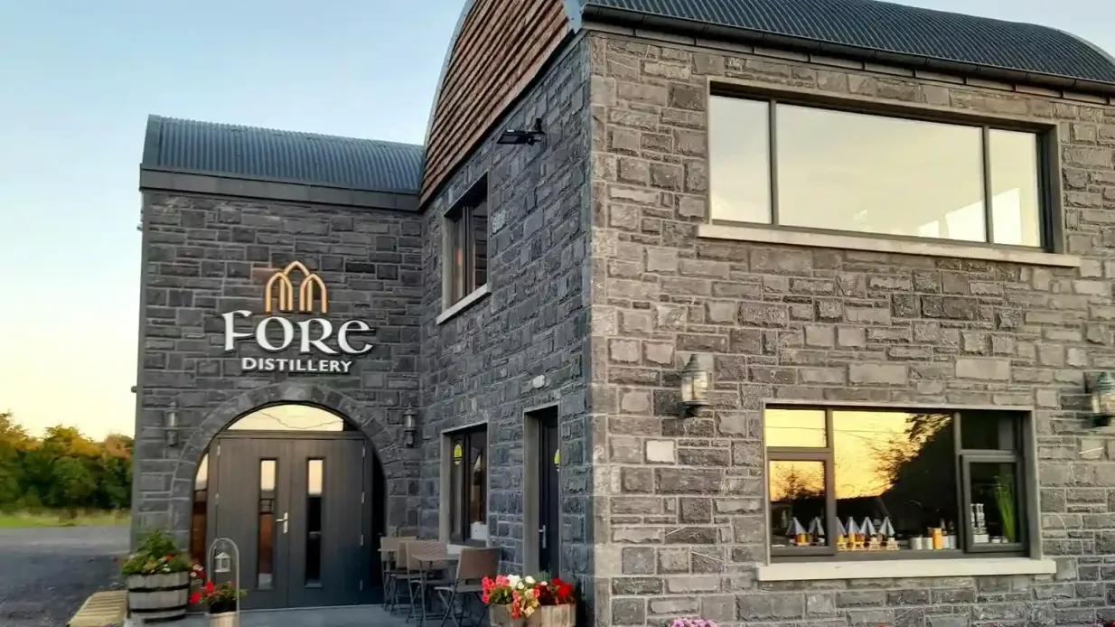 Valle celta del Boyne y yacimientos antiguos: Excursión de un día desde Dublín Operado por Irish Day Tours