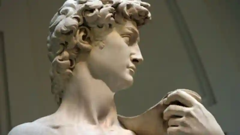 Galleria dell'Accademia  : Visite guidée Fournie par CAF TOUR & TRAVEL SRL - Gray Line Tours