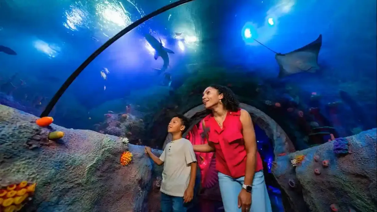LEGOLAND® Florida + SEA LIFE® Florida Aquarium + Peppa Pig Theme Park: Entry Provided by Merlin Entertainments Group Florida LLC