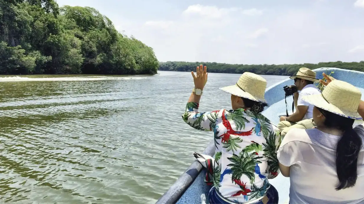 Mandinga Lake: Boat Tour + Transport from Veracruz Provided by Tranvías Veracruz SA de CV