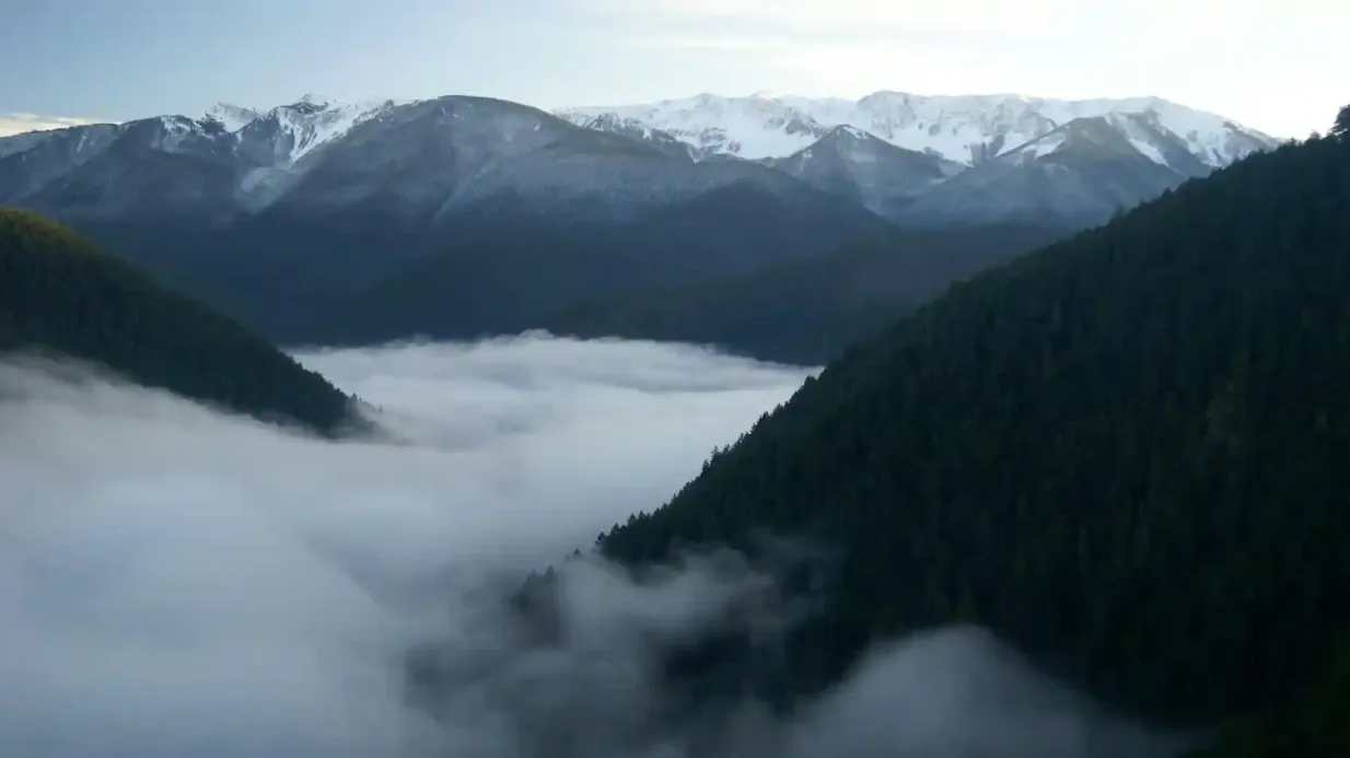 Olympic National Park: All-Inclusive Small Group Day Trip from Seattle Provided by Evergreen Escapes