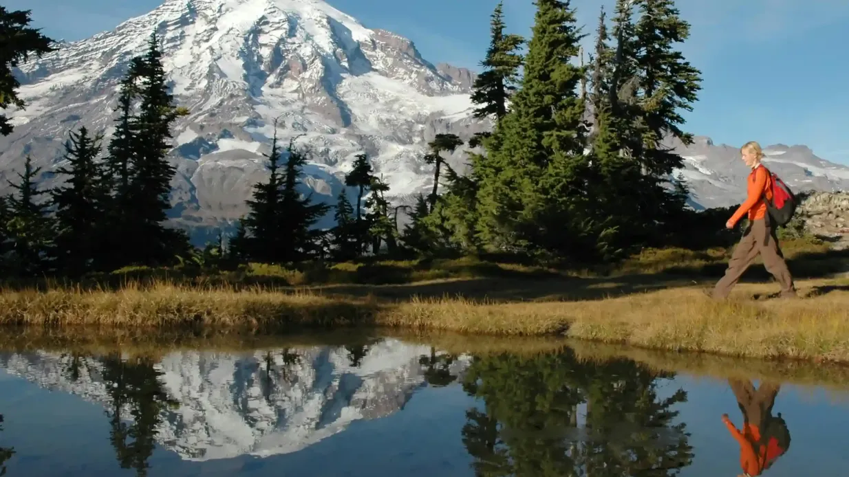 Monte Rainier: Excursión todo incluido con grupo pequeño desde Seattle Operado por Evergreen Escapes
