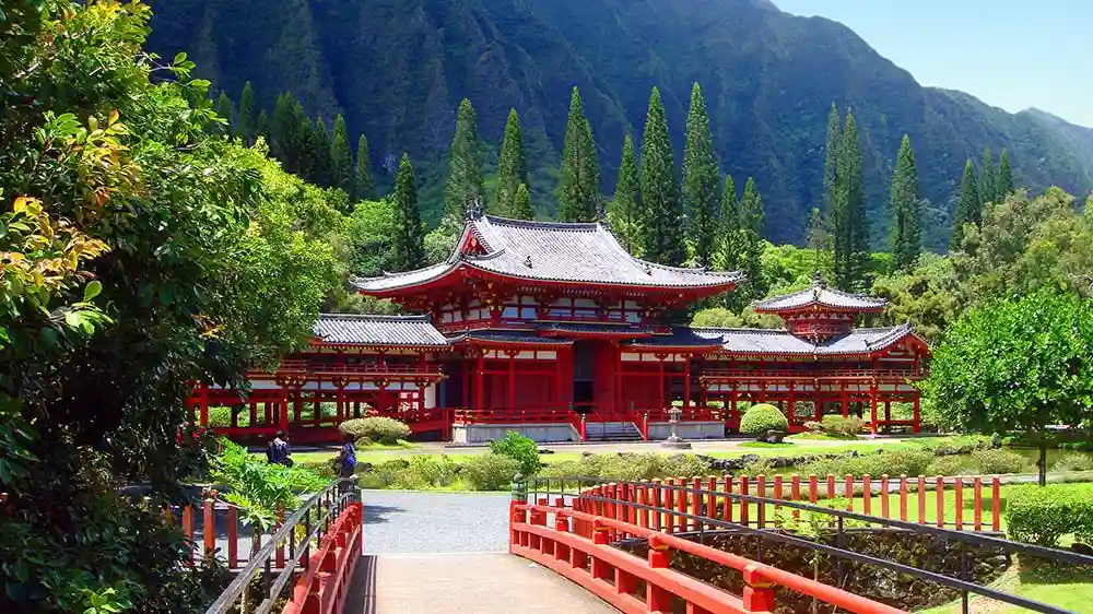 Oahu Grand Circle with Dole Pineapple Plantation and Lunch Provided by Polynesian Adventure Activities, LLC